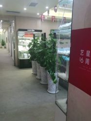 -Yestar艺星整形