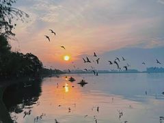 -成都南湖公园