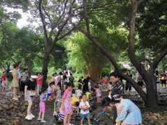 -成都市活水公园