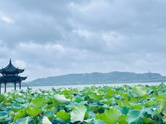 -杭州西湖银泰百货