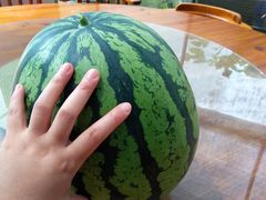 -前小桔亲子创意农场·草莓采摘·露营烧烤