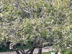 -云峰山自然风景区