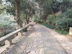 -雨花胜境