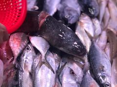 -抱德·潮汕味(敦和店原惠城鱼仔)