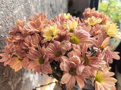 -Laures·月桂西班牙碳烤餐厅(十尚坊店)