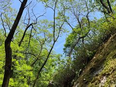 -秦岭终南山世界地质公园翠华山景区