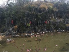-千岛湖石林