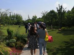 -上海长兴岛郊野公园