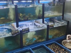 -老东镇啤酒屋海鲜加工·蒸汽海鲜·海鲜烧烤(台东店)