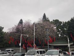 -广州越秀国际会议中心