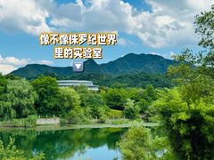 -安吉竹博园