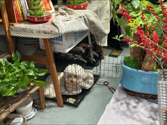 -何兮花店·气球派对鲜花店(马桥银春路万科城店)