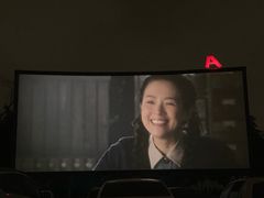 -枫花园汽车电影院(朝阳公园店)