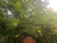 -杭州黄龙洞