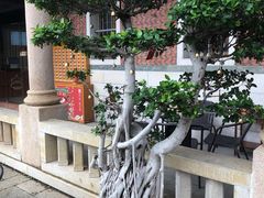 -晋江五店市传统文化旅游区