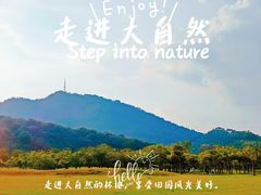 -风云岭森林公园