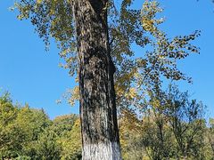 -采石矶-马鞍山太白楼