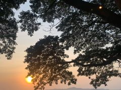 -网红落日悬崖餐厅 The Sky Gallery