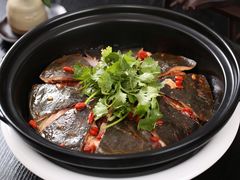 生煎养生甲鱼/斤-钓台野鱼馆(钱江国际时代广场店)