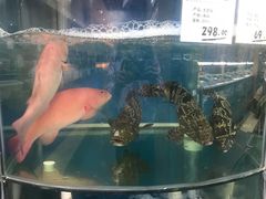 -果蔬好生活超市(双井店)