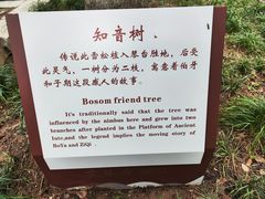 -古琴台