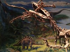 -自贡恐龙博物馆