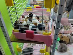 -三旗百汇商品城