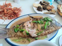 微山湖四鼻鲤鱼-微山湖湖畔好客居鱼馆渔家菜(微山湖风景区店)