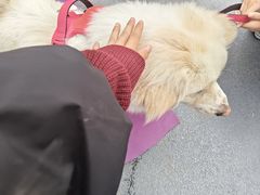 -雅达·阳羡溪山小镇中心
