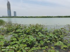 -海宁鹃湖公园