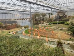 -无锡动物园·太湖欢乐园