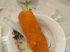 -丁老爷子苏香圆