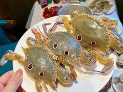 -领鲜活海鲜榴莲自助火锅(东门店)