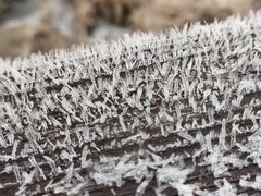 -沈阳森林动物园