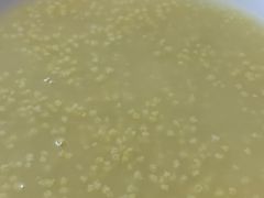 -宝瑞门钉肉饼店