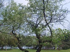 -盘龙城国家考古遗址公园