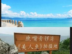 -杨梅坑