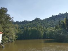-滴水岩森林公园