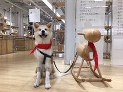 -1点点(建设六马店)