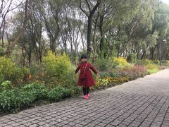 -西湖风景区-江洋畈生态公园