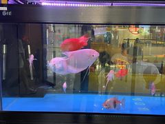 -钳小厨疯味1987肉蟹煲(美一城广场店)