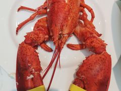 -半岛听涛蒸汽海鲜自助(K11店)