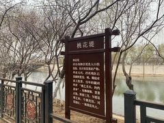 -桃花堤公园