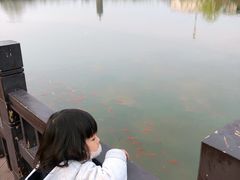 -西海子公园