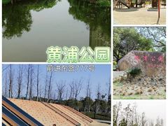 -昆山城市生态森林公园