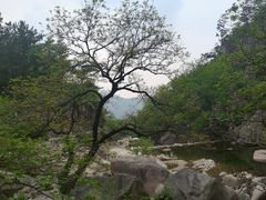 -崂山九水游览区