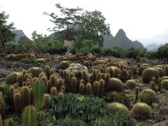 iphone_upload_pic-Club Med地中海俱乐部·桂林度假村