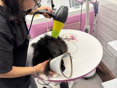 -FAELING PETS美天灵宠物(富力广场店)