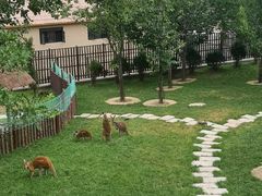 -大连森林动物园