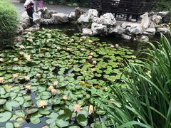 -衣裳街历史文化街区